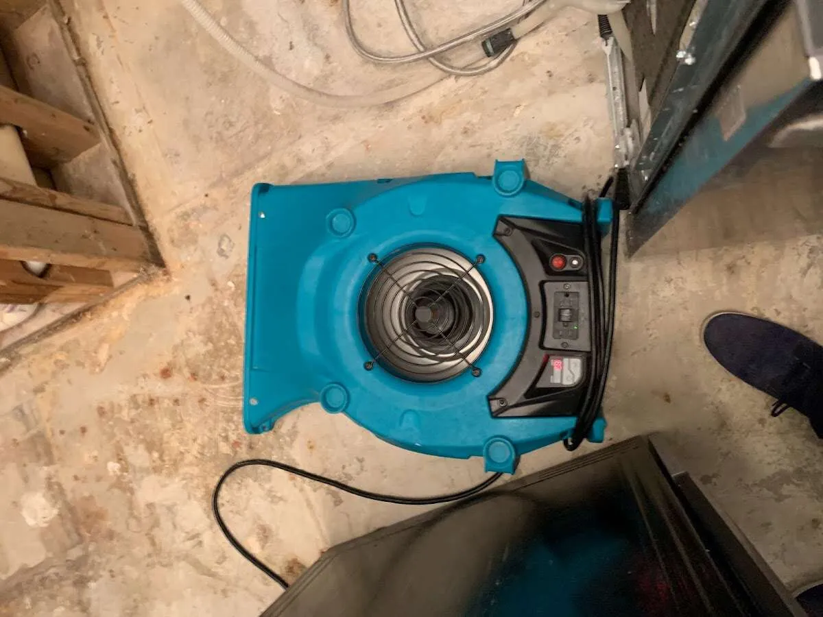 Air mover drying equipment for Mold Remediation & Removal in Summerlin South
